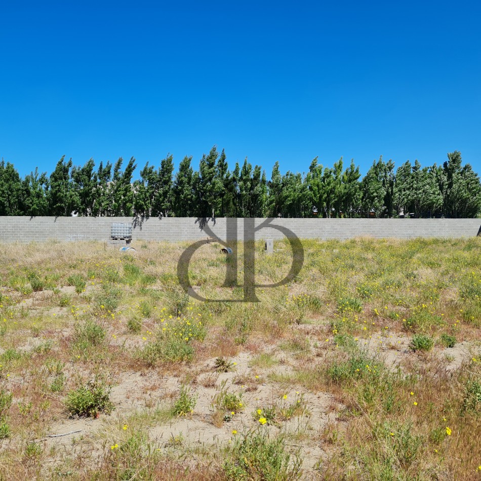 TERRENO EN VENTA BELLA VISTA SUR