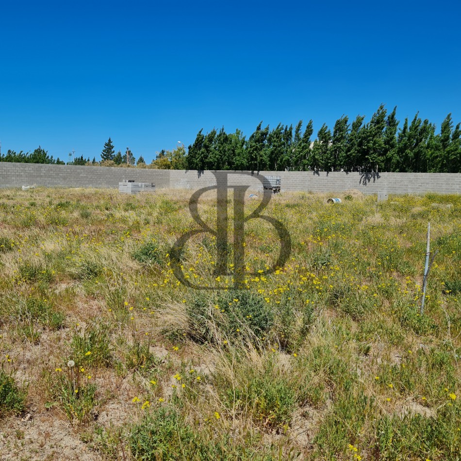 TERRENO EN VENTA BELLA VISTA SUR